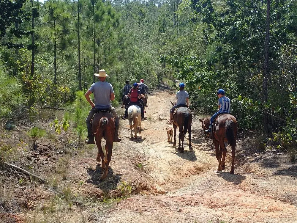 Vinales Pinar del Rio. Bienvenidos à nuestra finca ecológica para descubrir el proceso y el sabor de nuestro café. Reservas online, Finca Agroecológica El Niño Valle Vinales.
