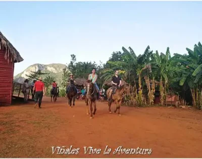 Viñales Vive la Aventura