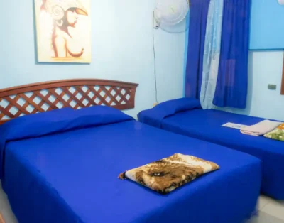 Casa Colonial Mayra y Enrique