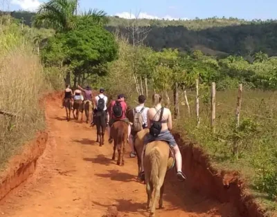Guia de caballo hace 20 años