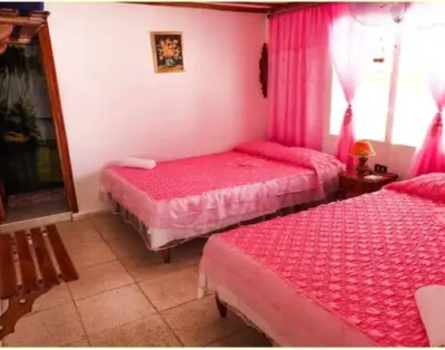 CASA ANA BIRDING, Habitación 1