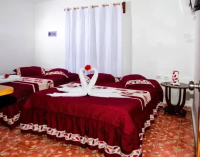 Hostal Ciro y Lourdes Room 1