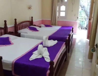 Hostal el Oasisabel, Habitación Orquídea